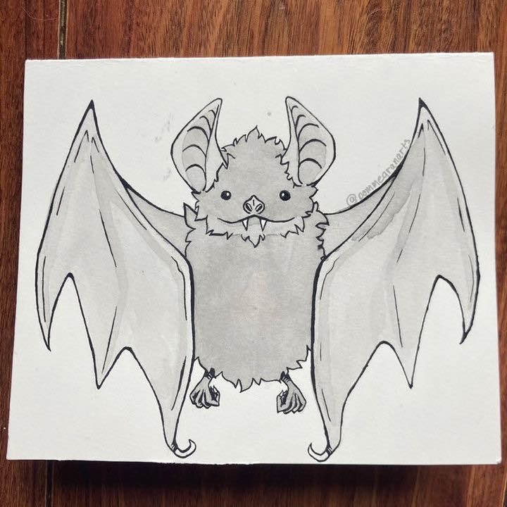 Bat