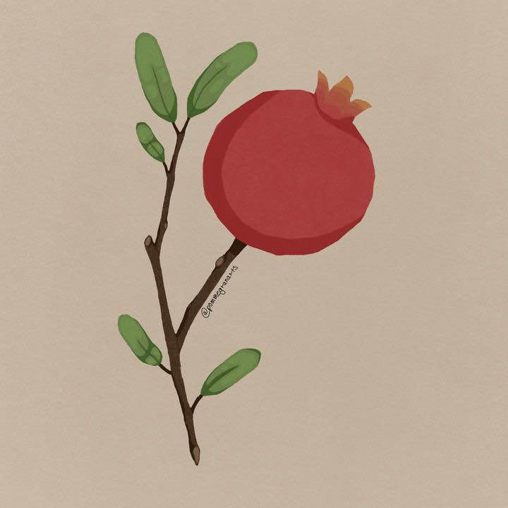 Pomegranate plant